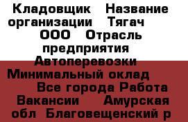 Кладовщик › Название организации ­ Тягач 2001, ООО › Отрасль предприятия ­ Автоперевозки › Минимальный оклад ­ 25 000 - Все города Работа » Вакансии   . Амурская обл.,Благовещенский р-н